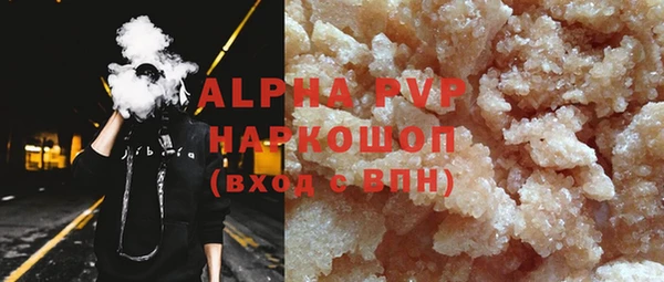 PSILOCYBIN Аркадак