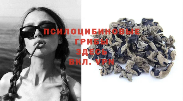 PSILOCYBIN Аркадак