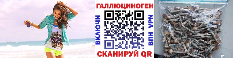 Галлюциногенные грибы Psilocybine cubensis  Коломна 